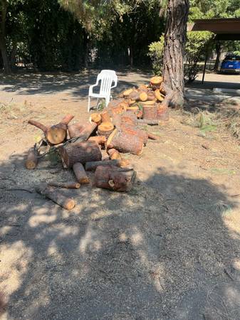 Free Pine wood 1