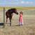Welsh Pony - 9 month old Gelding 1 thumbnail