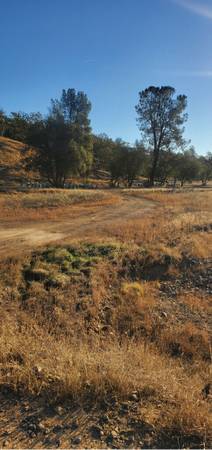 $75,000 REDUCED! 7 Acres in West Anderson - Owner Will Carry with $5000 Down (Anderson, CA)63961468200322122