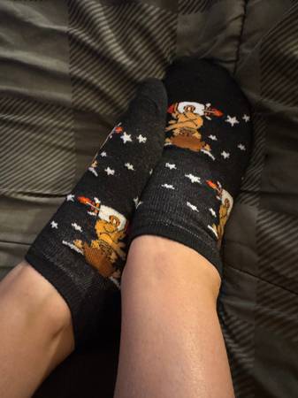Highland cow spaceship socks 1