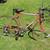 Bike Roadmaster Scorcher 10 Speed Vintage Rare Needs Repair 7 thumbnail