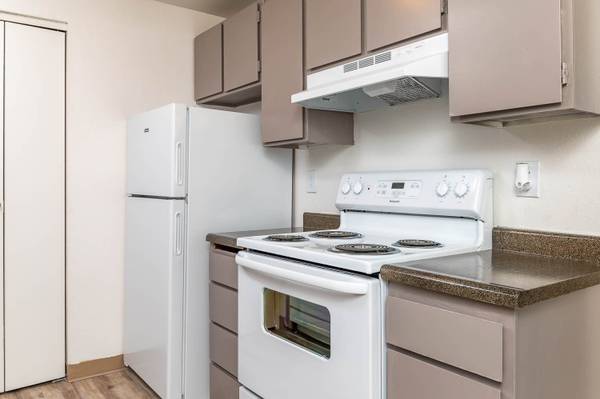 $1,419 / 2br - 955ft2 - Gorgeous 2 bed / 1 bath! 955 Sq Ft! Must see! (Pasco)64054766874371124