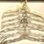 Clear White Hangers Galaxy Products Set of 8 5 thumbnail