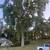 Title: Tree Removal Needed – 4 Large Trees– Canandaigua NY 3 thumbnail