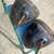 1930's 1940's 1950's Headlight Buckets 682J Guide BLC Rat Hot Rod 3 thumbnail