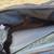 /// VTG PIERRE CARDIN NYLON WEEKEND BAG \\\ 6 thumbnail