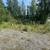 Commercial LAND LISTING! 0.32 Acre Lot in Downtown Wasilla 8 thumbnail