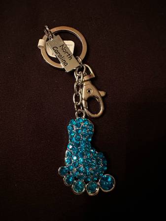 North Carolina Blue Sparkle Footprint 1