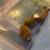 Baby guinea pigs 4 thumbnail
