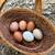 Fresh Woodland Eggs 3 thumbnail