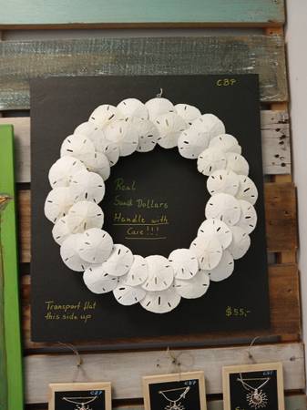 SAND DOLLAR WREATH 1