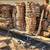 Large inventory of Mesquite Slabs **KILN DRIED = NO BUGS 3 thumbnail
