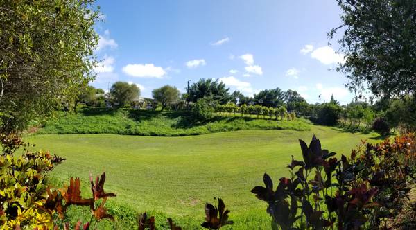 $752 / 1br - Hale Kupuna Elderly (Kalaheo)63939788433154123