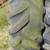 14.9 R 34  tractor tire 1 thumbnail