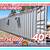 20 40 ft Cargo Container Storage Reefer Shipping Shed Sheds Containers 13 thumbnail