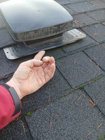 Roofing and Repairs  Gutter Cleaning  Pressure Washing 1