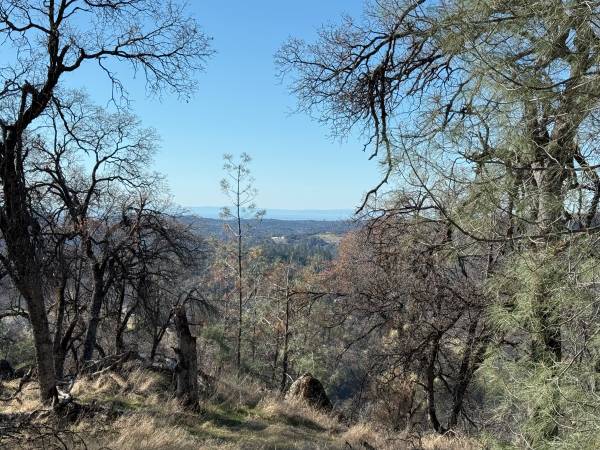 $85,000 JUST REDUCED!!   9.07 Private Acres with Hilltop Views (Grass Valley)63952105264386122