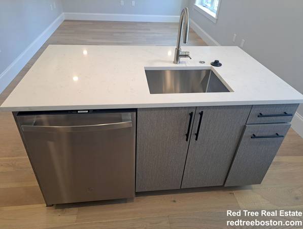 $3,600 / 2br - Exceptional 2 bed 2 bath in Brighton with laundry in unit!! (Brighton)63802096820737122