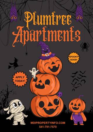 1 YOUR DREAM APARTMENT AWAITS 1