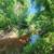 3.5 acres on a creek with all utilities 24 thumbnail