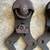 2 (PAIR) 0f Antique  Cast Iron Barn Door Roller 8 thumbnail