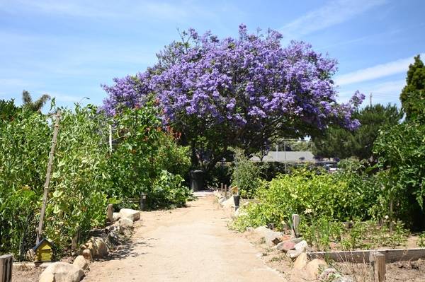 $2,395 / 2br - 825ft2 - our 2 bedroom is ready for you to rent!! (Santa Maria)63695988660099120