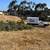 ____TREE SERVICE, REMOVAL, TRIMMING, STUMP & LANDSCAPE MAINTENANCE____ 1 thumbnail