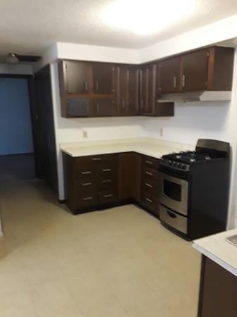 $875 / 1br - Apartamento de una habitación, alquiler mensual de $875 (vecindario Elliot Park, Minneapolis)63797857411075122