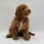 Goldendoodles 3 thumbnail