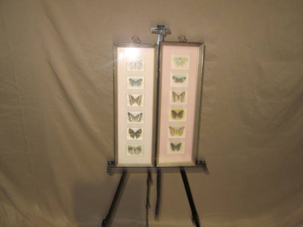 Set of 2 Framed Butterfly Drawings, 12 Butterflies in All 1