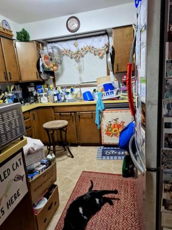 $65,000 / 2br - 952ft2 - CASA MÓVIL (Little Chute)63845969026691123