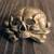 German skull 1 thumbnail