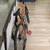 New Cannondale Topstone 1 Gravel Bike Bicycle XS Frame ShimanoGRX 6 thumbnail