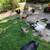 Chickens 3 thumbnail