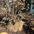 Grasons estate sale - 2 day in Benicia 23 thumbnail