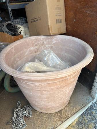Large Plant-Plastic Pot 1