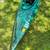 WILDERNESS SYSTEMS PUNGO KAYAK.12ft,PADDLE, SAIL, STEERING RUDDER 4 thumbnail