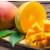 Mango tree for sale Kent Organic 2 thumbnail