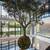 Spacious 2BR/2BA | Williamsburg | Luxury Amenity Building | McCarren Park 21 thumbnail