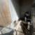 Affordable handyman & maintenance& construction 5 thumbnail