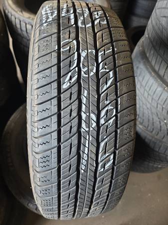 205-60-16 tiger paw 1