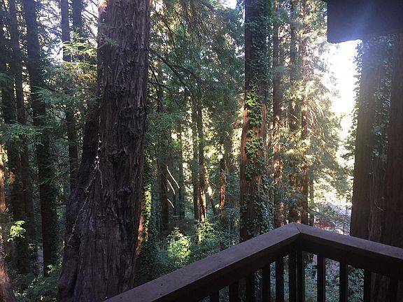 $2,950 / 1br - 600ft2 - 1BD/1BA Modern In-Law Unit In Tranquil Forest Setting - Month to Month (mill valley)63938500529922120