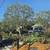 Carrillo Go Green Tree Services & Lanscaping 2 thumbnail