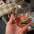 Glass Tea Cup/ Coffee mug with small spoon 3 thumbnail