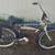 CRUISER BIKE 1 thumbnail