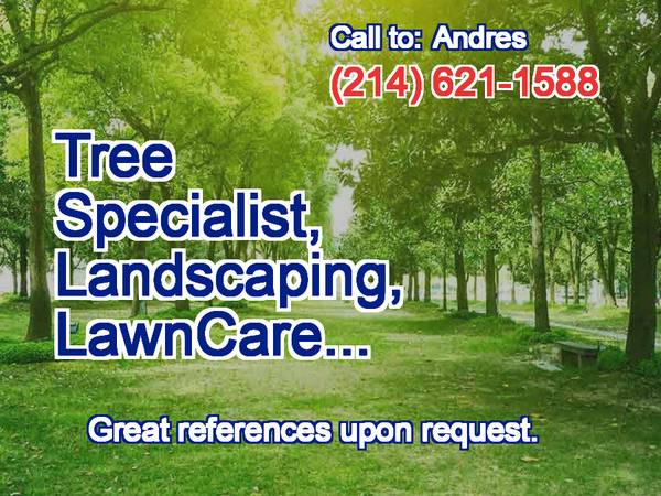 🏠ARELLANO Tree Specialist. Landscaping. Concrete, more. Affordable🏠 1