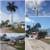 Tree service fence  pavers pressure washing hardscaping stump grinding 23 thumbnail