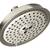 Hansgrohe Raindance Classic Easy Install 5-inch Handheld Shower Head 2 thumbnail