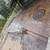 Concrete flatwork 6 thumbnail