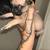 Fawn male pug puppy 3 thumbnail